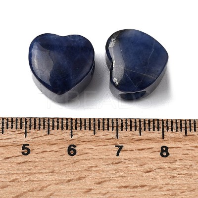 Natural Sodalite European Beads G-C269-01M-1