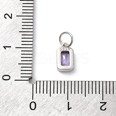 925 Sterling Silver Cubic Zirconia Charms STER-NH0014-01P-02-1
