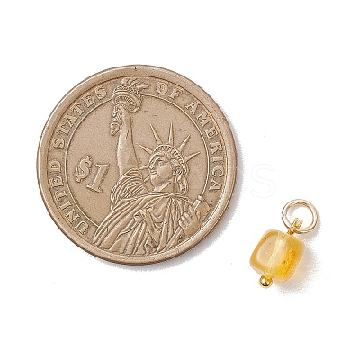 Natural Amber Square Charms PALLOY-JF04834-1