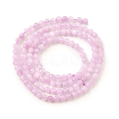 Natural Kunzite Beads Strands G-G259-D11-3mm-1