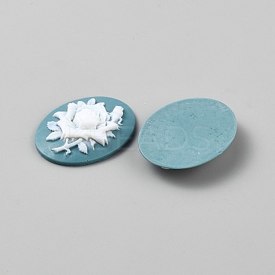 Resin Cabochons CRES-WH0018-02C-1