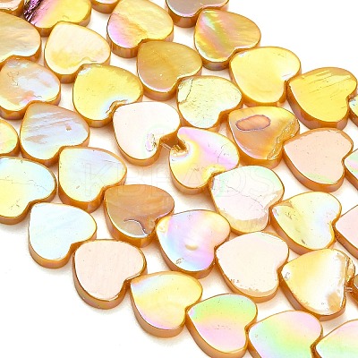 Natural Freshwater Shell Beads Strands SH-CBA93AD-06B-1