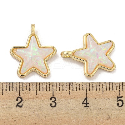 Translucent Resin Pendants KK-M291-24C-1