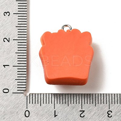 Resin Pendants RESI-A038-02D-1