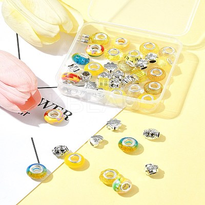 DIY Tibetan Style Alloy & Resin European Beads Making Finding Kits DIY-FS0006-78B-1