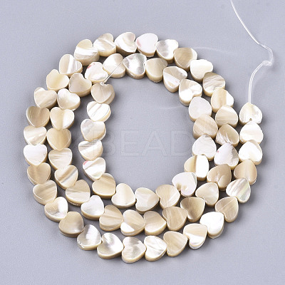 Natural Trochid Shell/Trochus Shell Beads SSHEL-R049-01-1