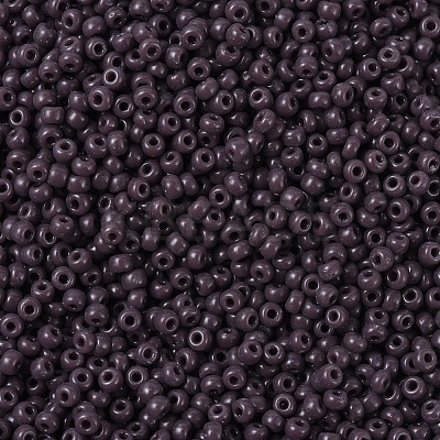 MIYUKI Round Rocailles Beads SEED-G007-RR0497-1