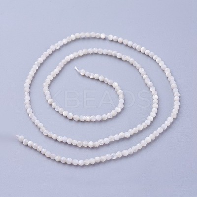 Shell Beads Strands G-F619-27-2mm-1