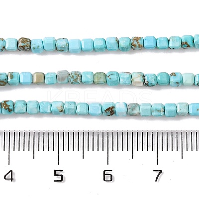 Natural Howlite Beads Strands G-G001-A02-03-1