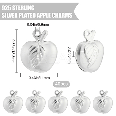 40Pcs Brass Charms KK-BBC0001-02-1