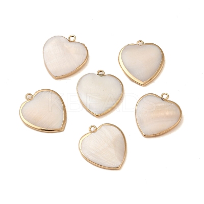 Natural Freshwater Shell Pendants SHEL-M021-14G-1