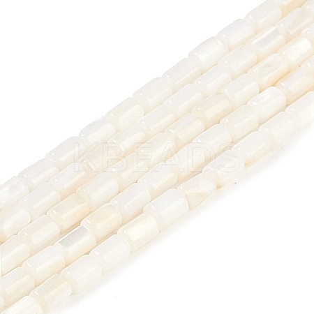 Natural Freshwater Shell Beads Strands BSHE-H109-17A-1