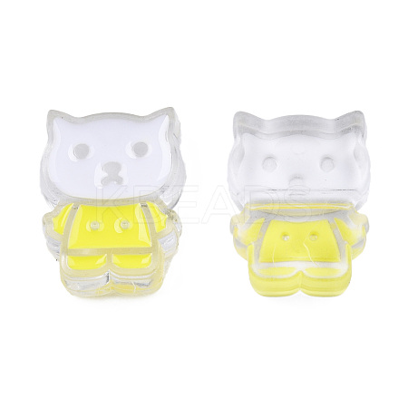 Transparent Acrylic Enamel Beads TACR-N012-005G-1