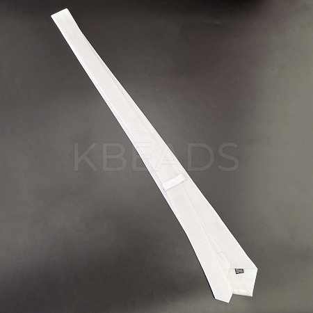 Polyester Necktie AJEW-WH0248-245-1