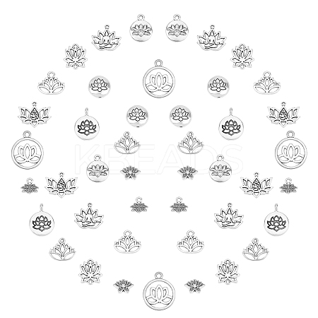 Tibetan Style Alloy Pendants & Links Connectors & Beads TIBEP-SC0001-53AS-1