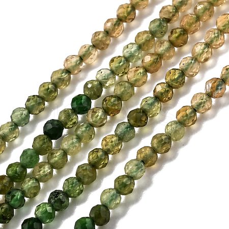 Natural Green Tourmaline Beads Strands G-H266-08B-1