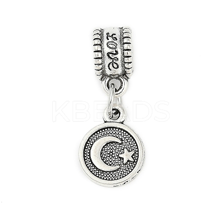 Rack Plating Brass European Dangle Charms LS-KK-R200-14AS-1