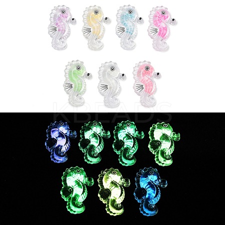 10Pcs Transparent Luminous Acrylic Pendants TACR-FP0001-02B-1