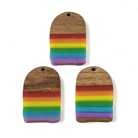 Pride Rainbow Theme Resin & Walnut Wood Pendants WOOD-K012-02-1