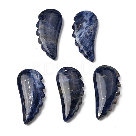Natural Sodalite Pendants G-F820-01C-1