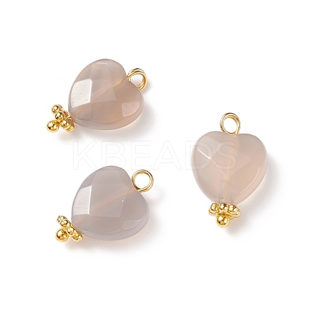 Natural Grey Agate Charms PALLOY-JF01863-04-1