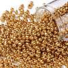 8/0 Glass Seed Beads X1-SEED-A017-3mm-1108-1