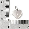 925 Sterling Silver Micro Pave Clear Cubic Zirconia Charms STER-V001-01P-10-3