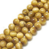 Natural Tiger Eye Beads Strands G-S300-8mm-107H-1
