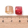 Resin Beads RESI-C073-08-3