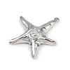 304 Stainless Steel Pendants STAS-B092-05C-P-2