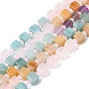 Natural Rose Quartz & Red Aventurine & Amethyst & Yellow Aventurine & Dyed White Jade Beads Strands G-H333-03B-2