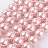 Shell Pearl Beads Strands X-BSHE-G013-12mm-02-1