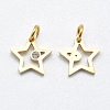316 Surgical Stainless Steel Pendants STAS-K178-01A-3