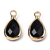 K9 Glass Charms GLAA-N038-21-5