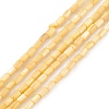 Natural Freshwater Shell Dyed Beads Strands SHEL-M018-12-2
