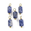 Natural Sodalite Cloumn Pendants STAS-H221-04G-06-1