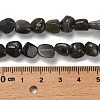 Natural Larvikite Beads Strands G-P497-01E-85-5