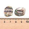 Natural Paua Shell Pendants SHEL-T020-11A-3