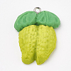Handmade Polymer Clay Pendants LS-X-CLAY-T012-11-1
