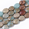 Natural Aqua Terra Jasper Beads Strands G-S366-015A-1