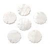 Natural Freshwater Shell Pendants SHEL-D082-14A-1