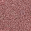 8/0 Glass Seed Beads X-SEED-A017-3mm-1108-2