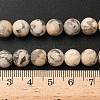 Natural Feldspar Bead Strands G-P295-06-8mm-7