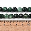 Natural Fuchsite Beads Strands G-T140-20B-5