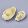 Natural Cowrie Shell Beads SSHEL-N034-C-26-2