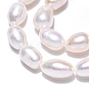 Natural Cultured Freshwater Pearl Beads Strands LS-PEAR-N012-07R-3