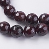 Natural Garnet Beads Strands G-G542-10mm-21-3
