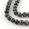 Natural Labradorite Round Bead Strands G-R342-6mm-09-2