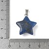 Dyed Natural Lapis Lazuli Pendants G-P599-06P-01-3