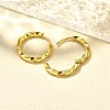 304 Stainless Steel Hoop Earrings for Women EJEW-M068-14G-02-3